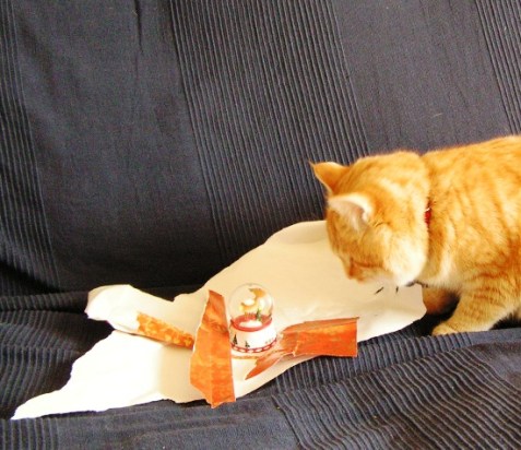 Tibert en face d’une sacrée incohérence