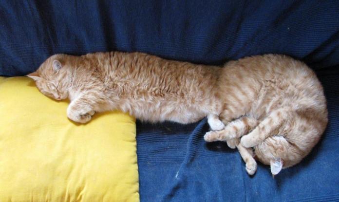 Peu passionnés par le sermon?